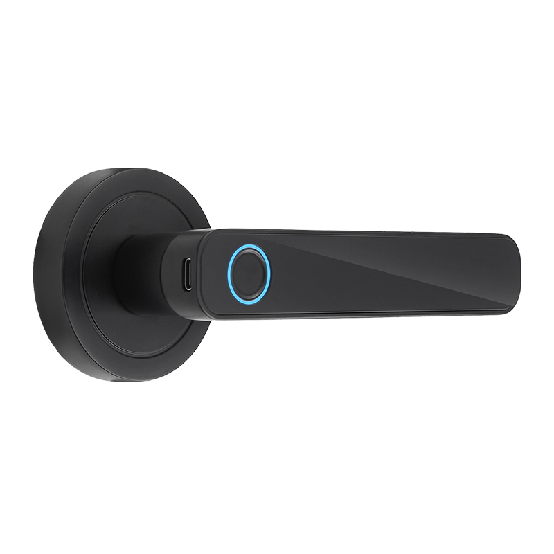 WF-F3 Fingerprint & Password Handle Lock Black Appearance