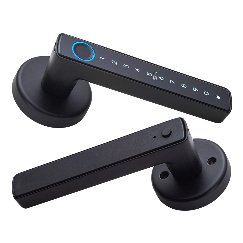 WF-F6 Fingerprint Handle Lock Appearance