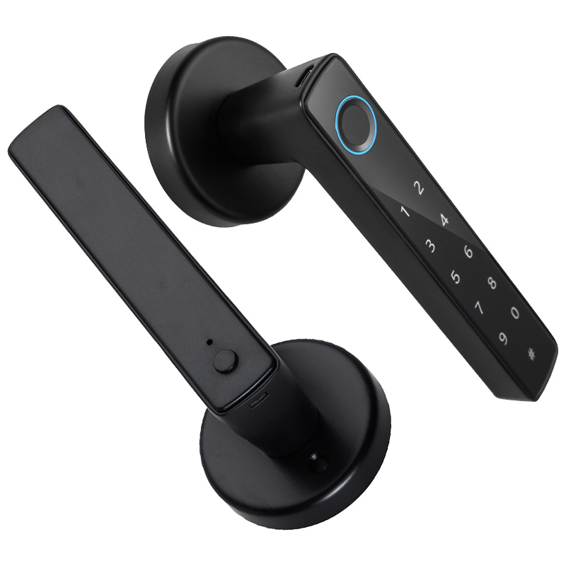 WF-F8 Fingerprint & Password Handle Lock Appearance