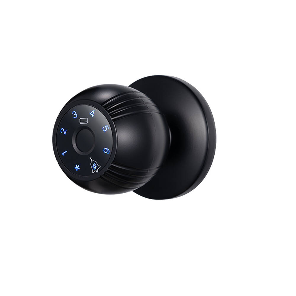 Smart Ball Knob Lock Appearance