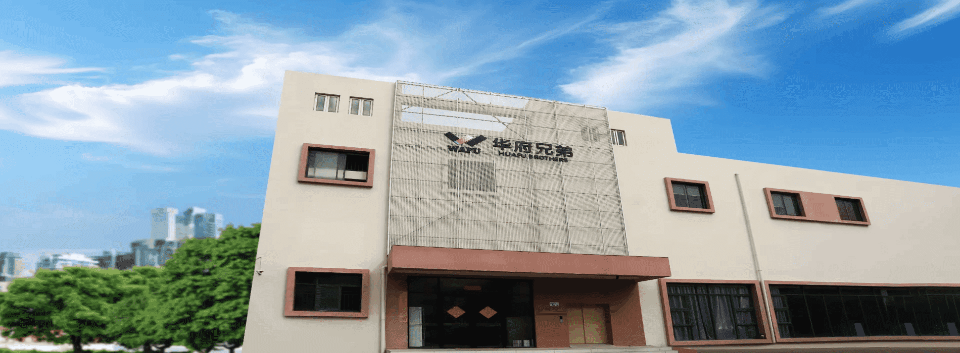 WAFU Smart Lock Professional Brand