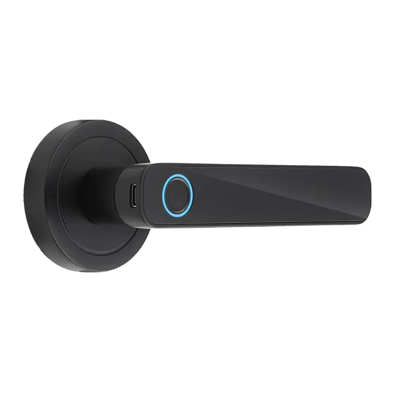 WF-F3 Fingerprint & Password Handle Lock Black Appearance