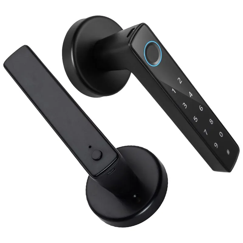 Fingerprint Handle Lock Appearance